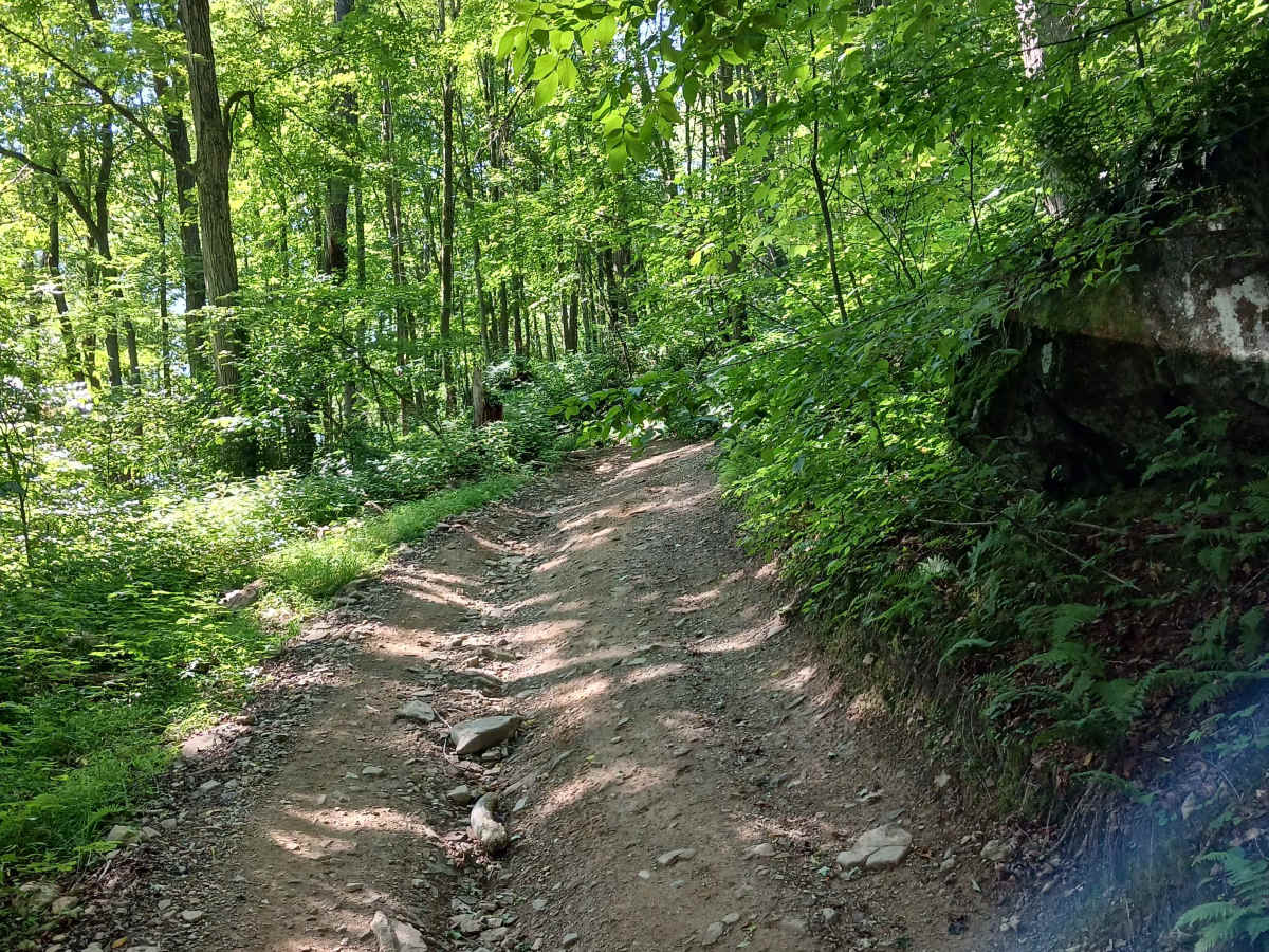 Trail 14D - Rock Run Recreation Area photo 3