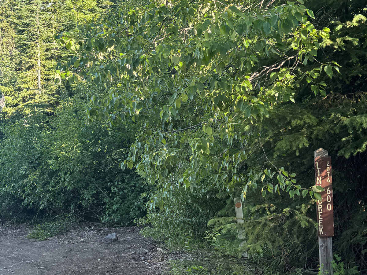 FS 2076-600 trail photo