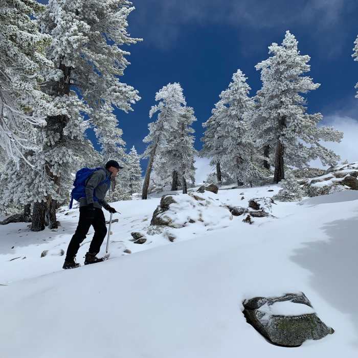 Blue skies on the way to the top of Badly. Near Mt. Baldy Trail #7W12