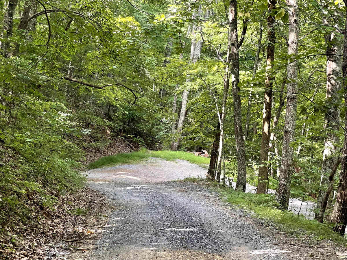 VA 614 photo 5