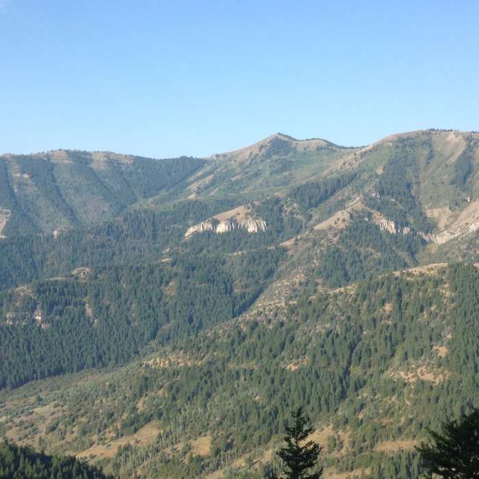 Near Old Jardine Juniper Trail