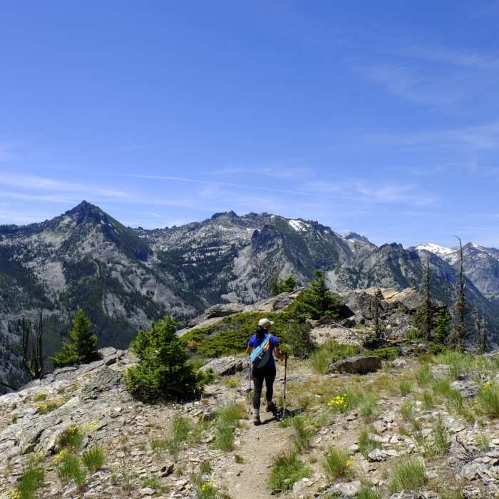 Near Bear Canyon Overlook