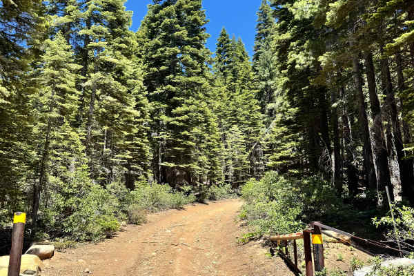 Saddleback Lookout - FS 25