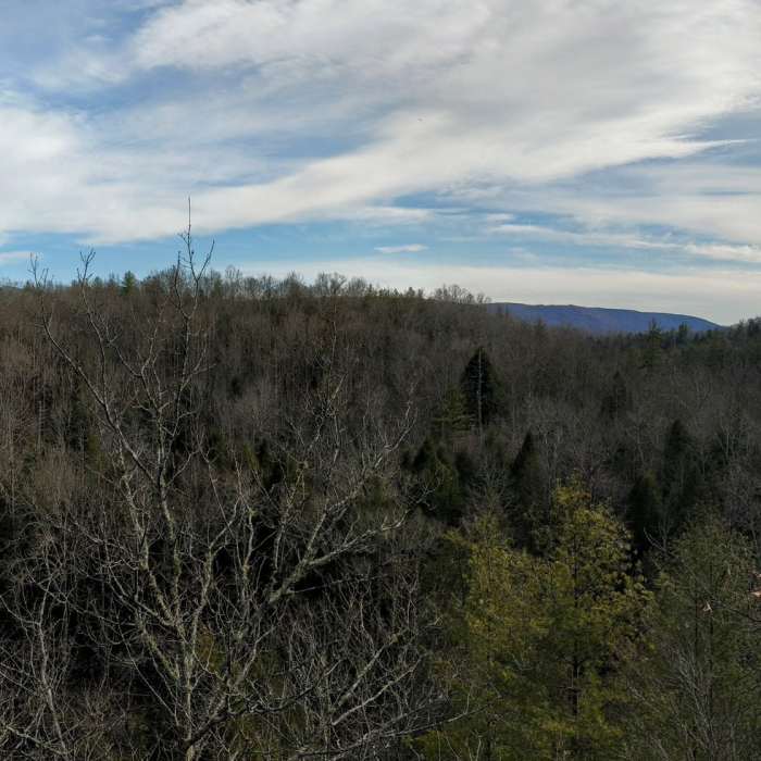 Near Windsor Bluff Overlook Trail