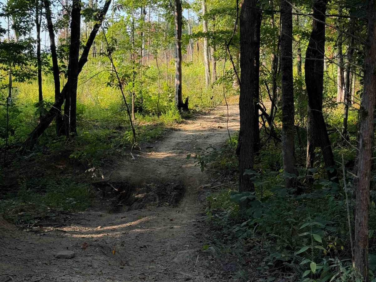 Wilson Loop Trail 38  photo 3