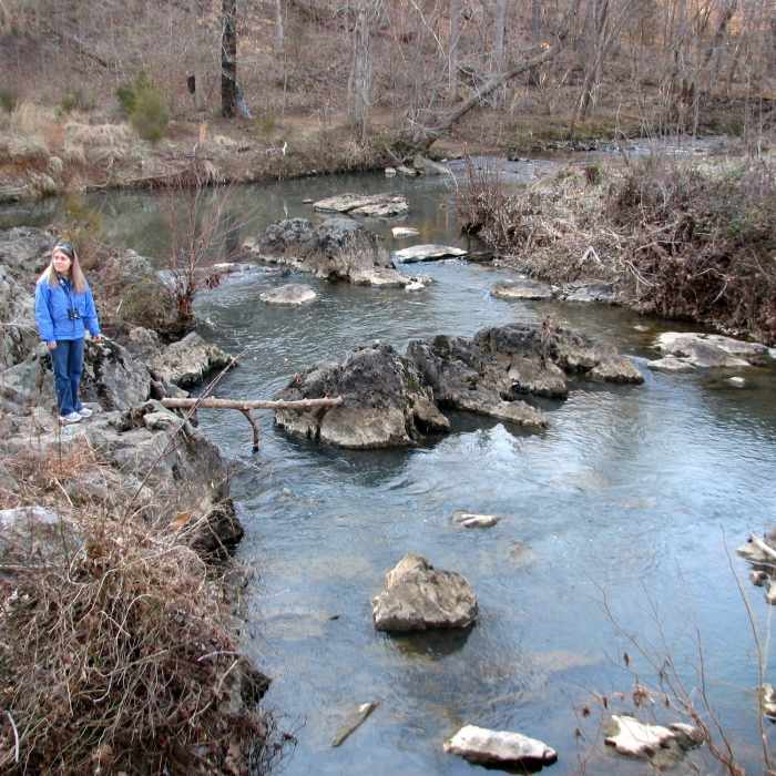 Creek - Johnston Mill. Near Johnston Mill Loop