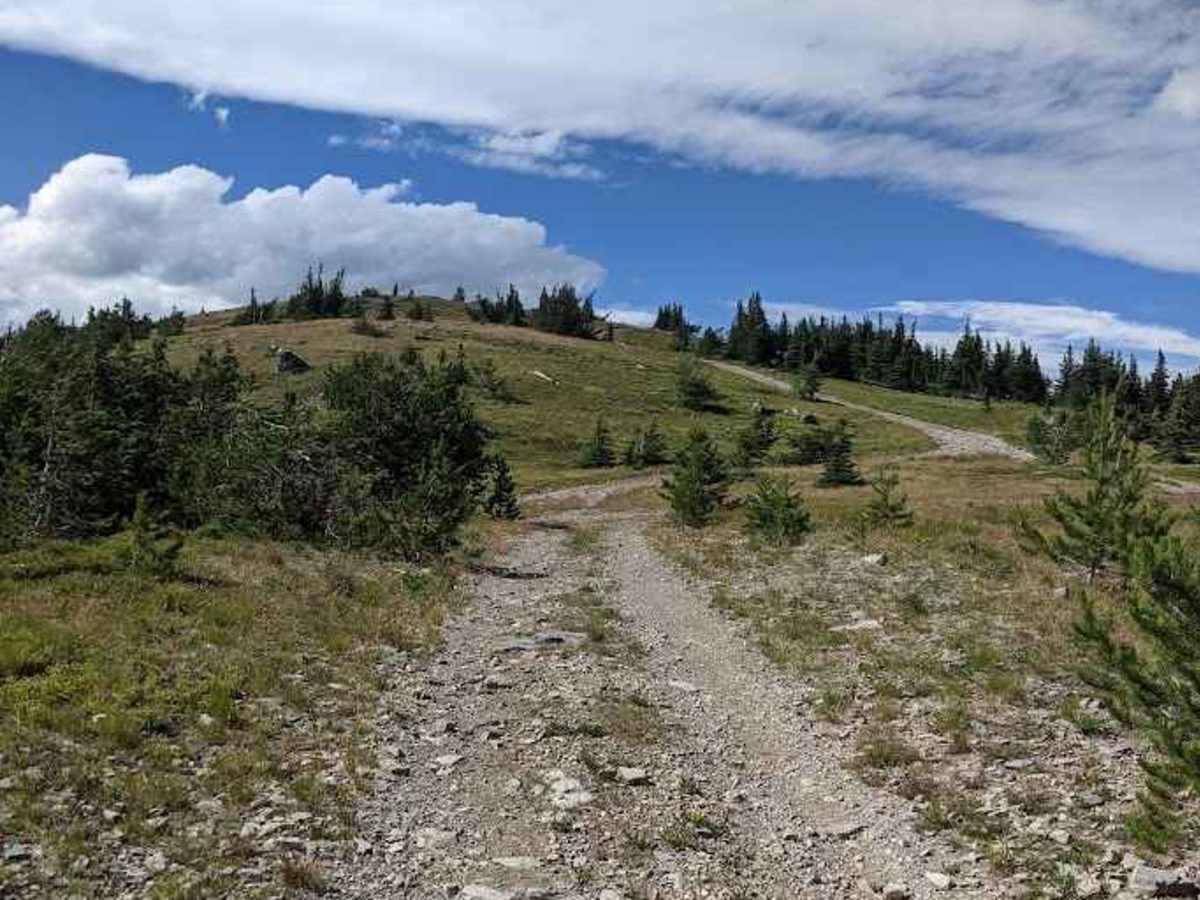 Ferrell Trail  photo 6