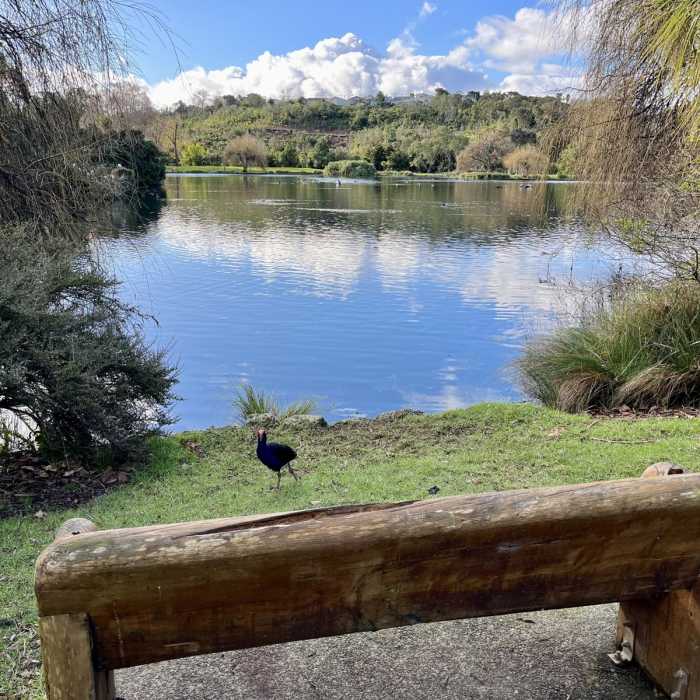 Near Western Springs Lakeside Loop Near Western Springs Lakeside Loop