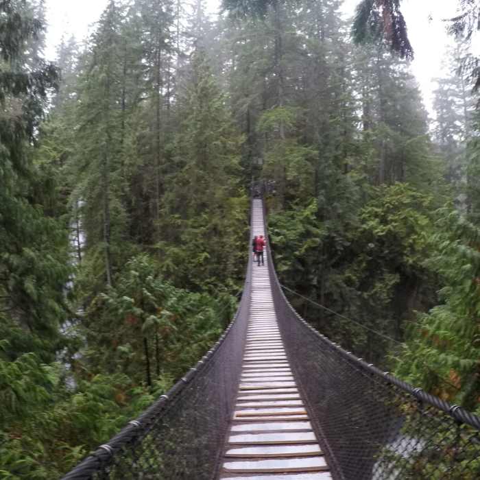 Near Centennial Trail