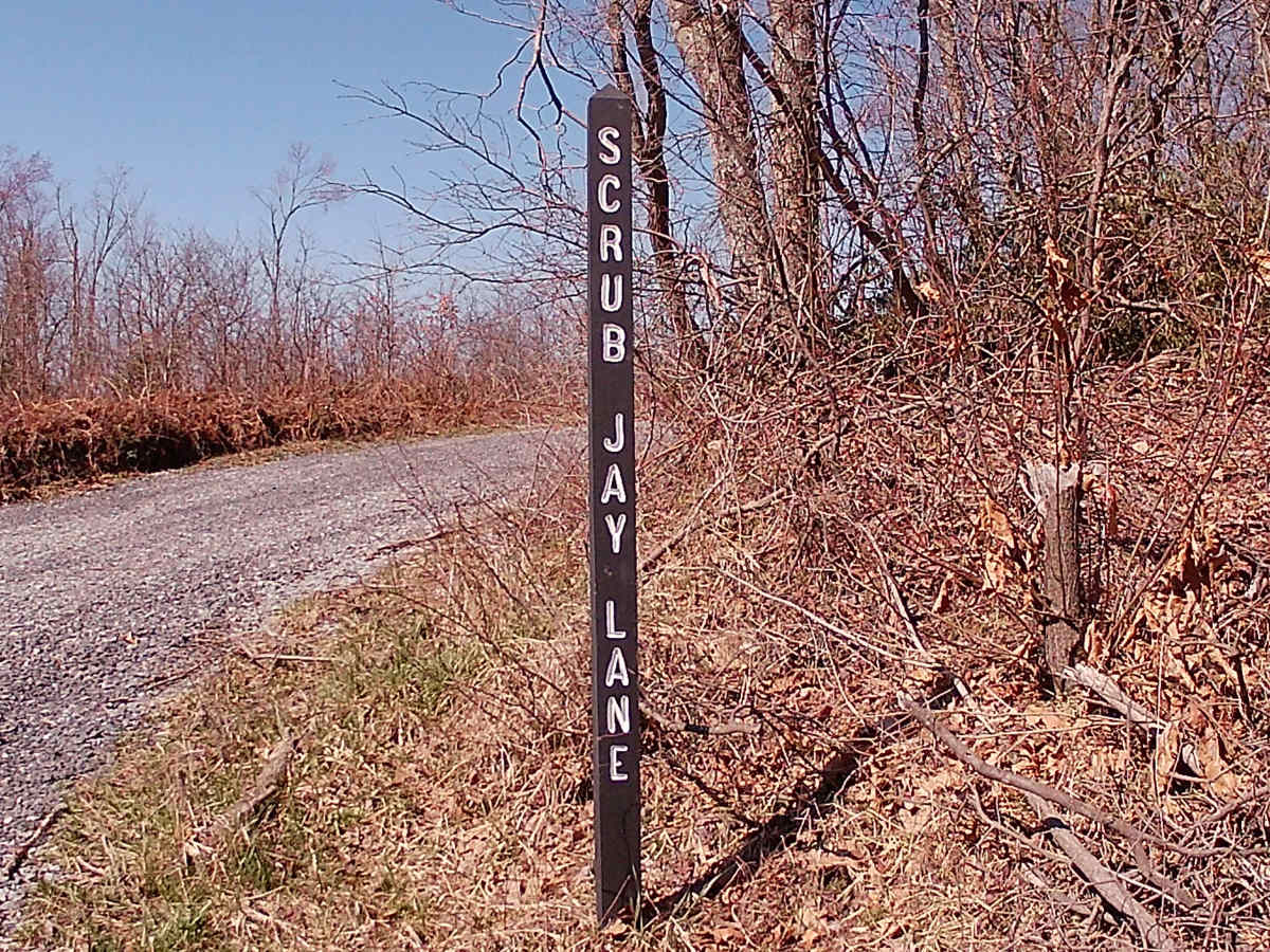 Rock Run Lane trail photo