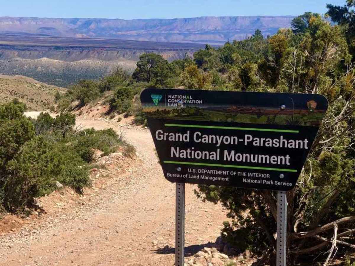Parashant Canyon-Mollies Nipple - BLM 1230 photo 3
