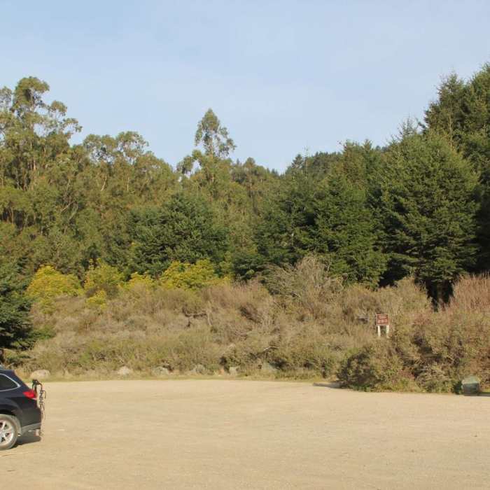 Near Palomarin Hike to Bass Lake