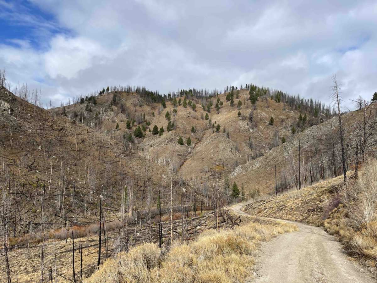 Basin Creek photo 5