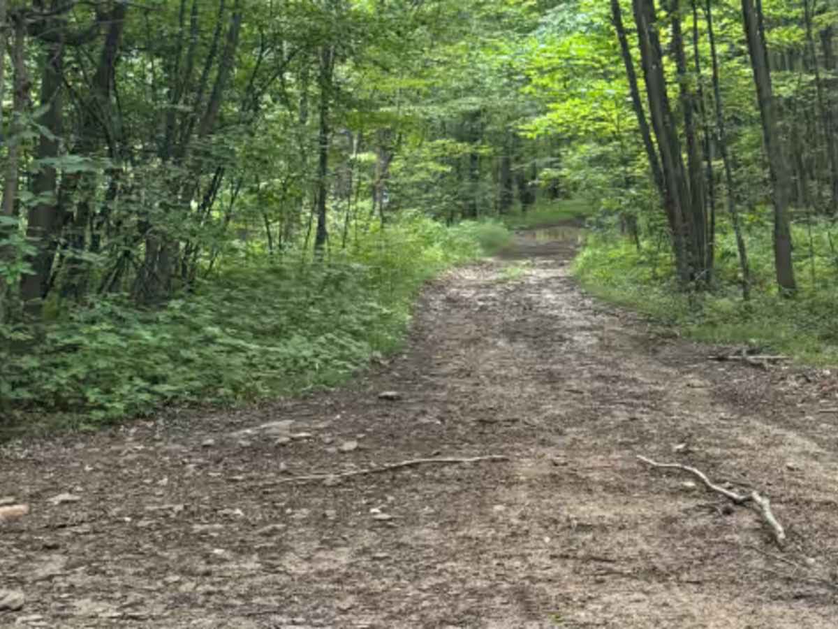 Trail 78 photo 6