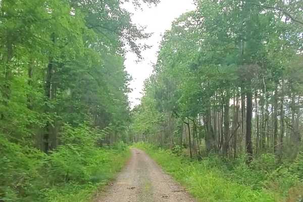 Hopewell Church - Lost wilderness traverse (661/669B)