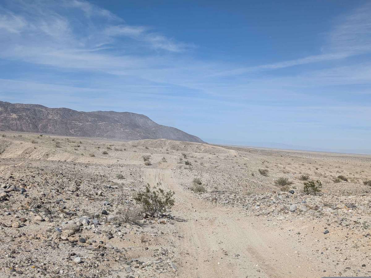 BLM 209 photo 5