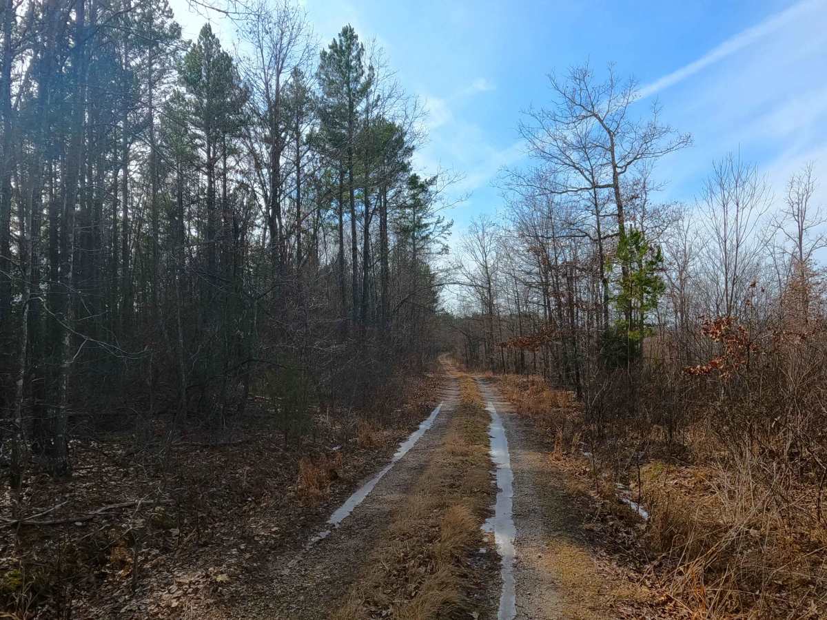 Tick Hollow - FS 423A photo 4
