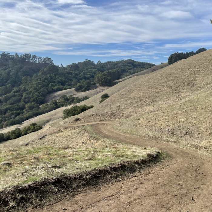 Near De La Veaga Trail