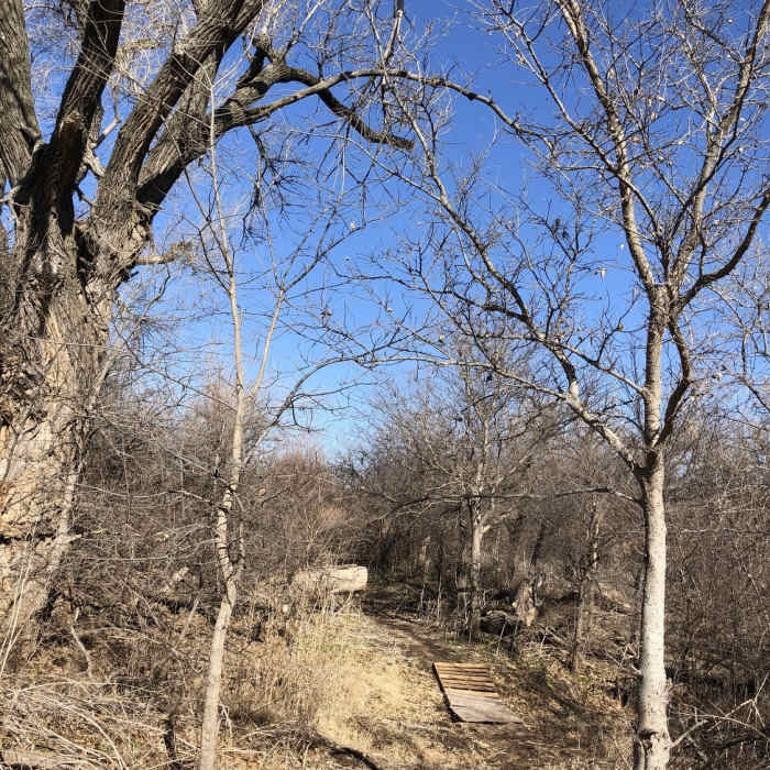 Makeshift bridge to get over the mud. Near Ford County Lake Trail