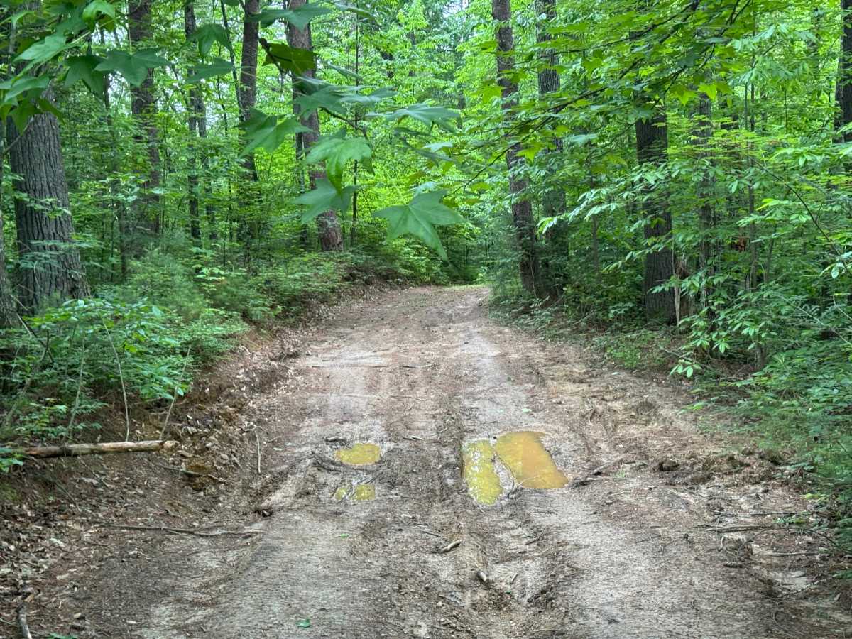 Butler Ridge - FS 1061 photo 5