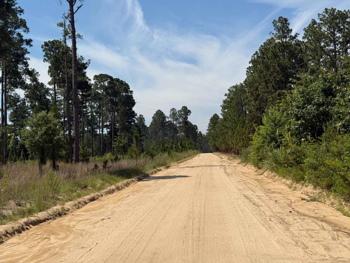 Field Trial Road photo 4