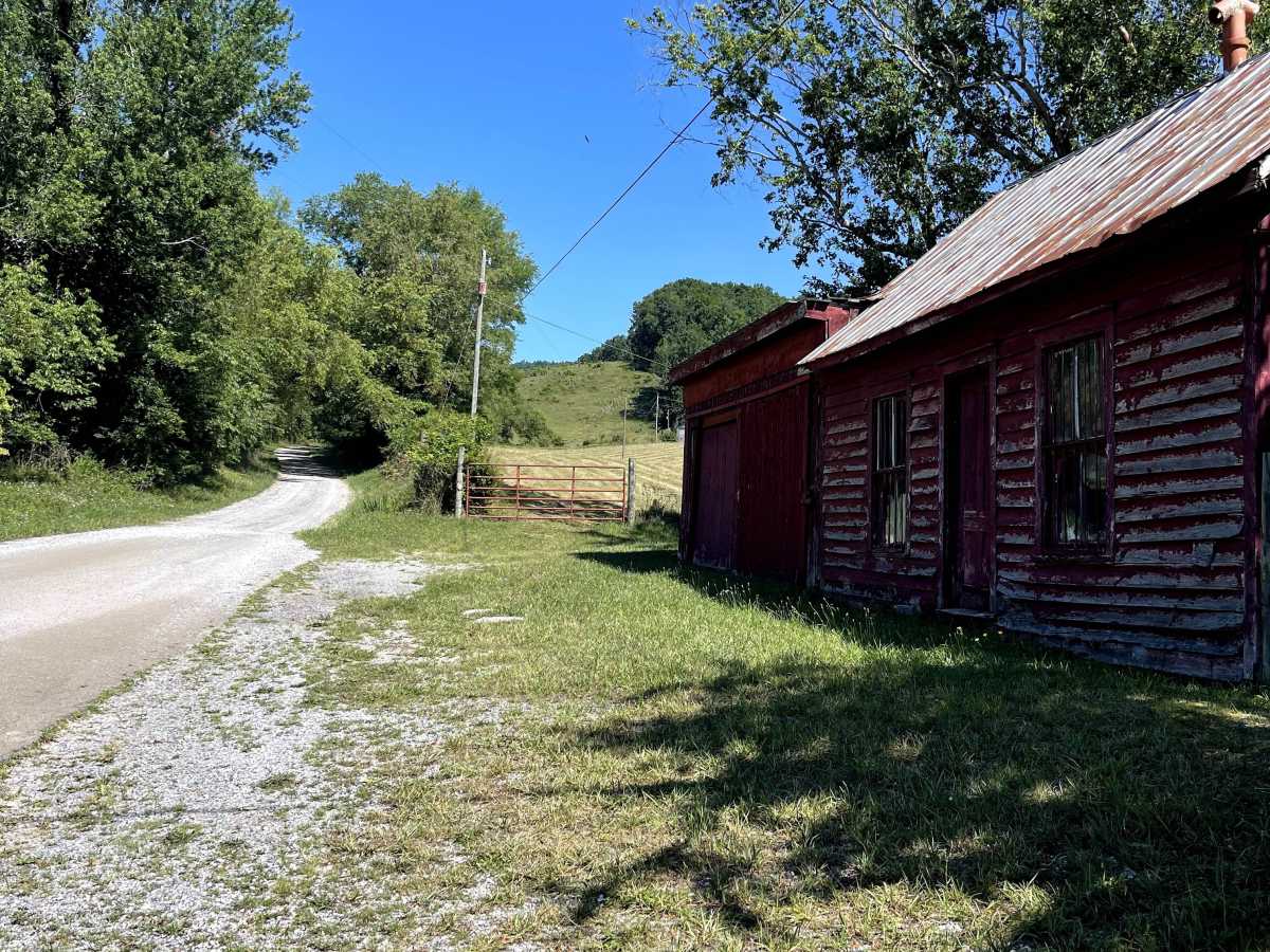 Blue Springs Road trail photo