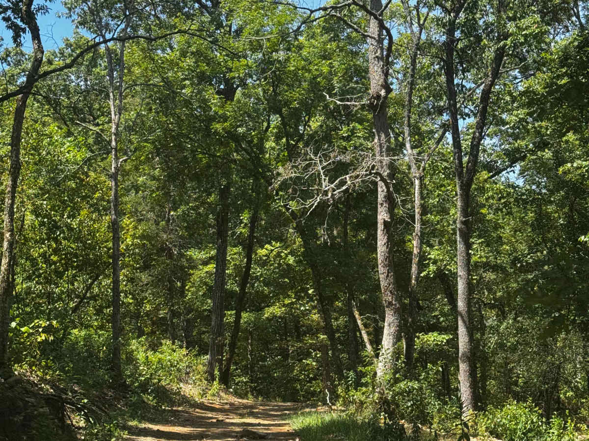 Short Cut to Valley photo 4