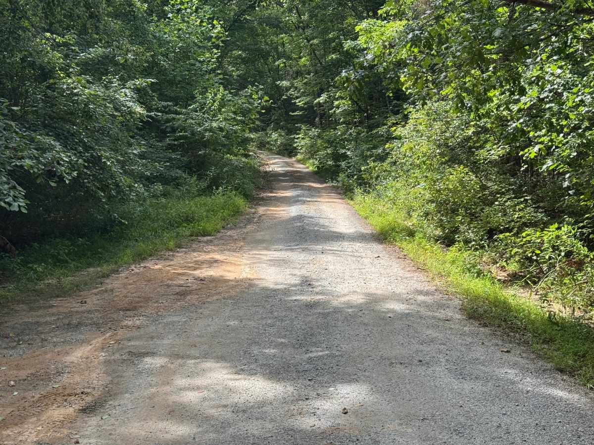 Stonewall Creek - FS 20 trail photo
