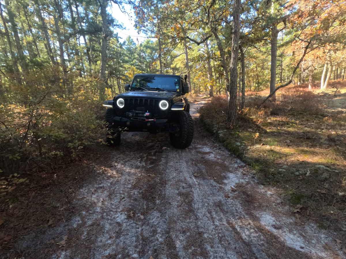 Swamp Road photo 4