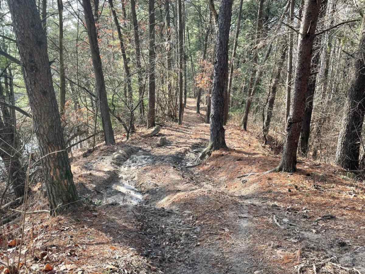 Redbird Trail 3 photo 3