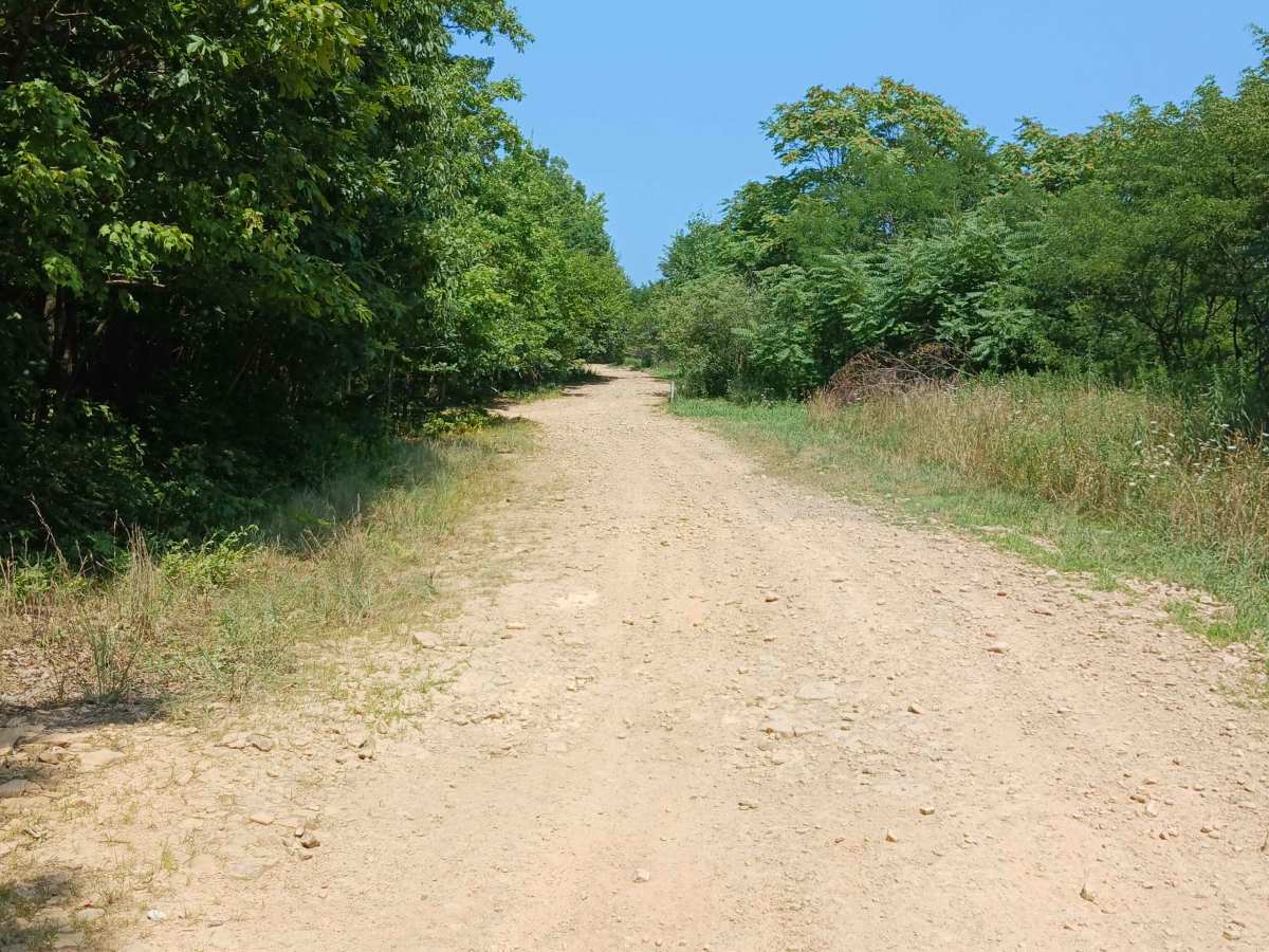 Short Lane - Rock Run Recreation Area photo 6