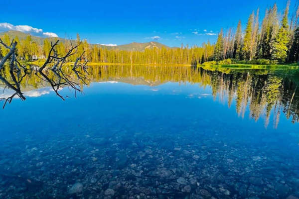 Bull Trout Lake