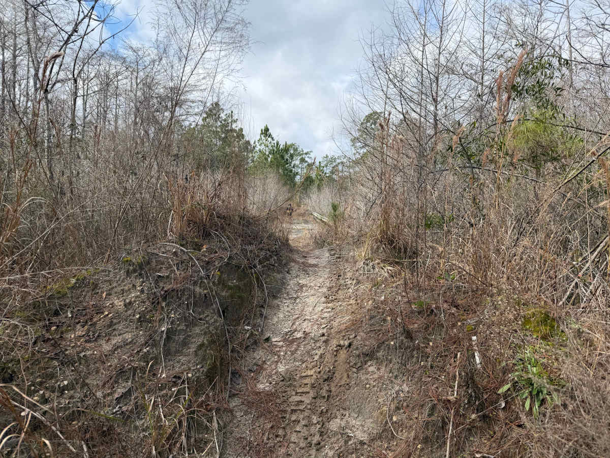 Smith  Creek Landing “Bridge Out” photo 3