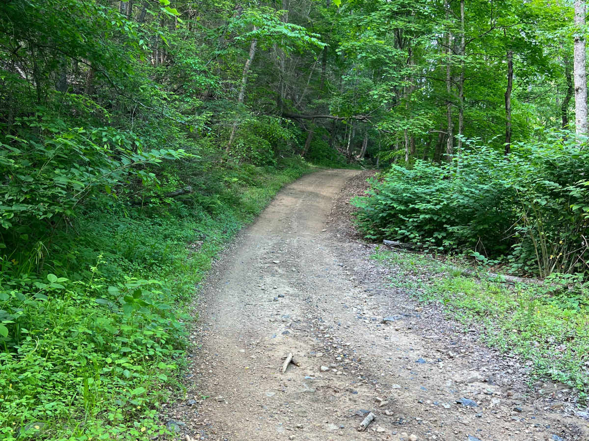 Bufflick Branch Trail - Q76 photo 6