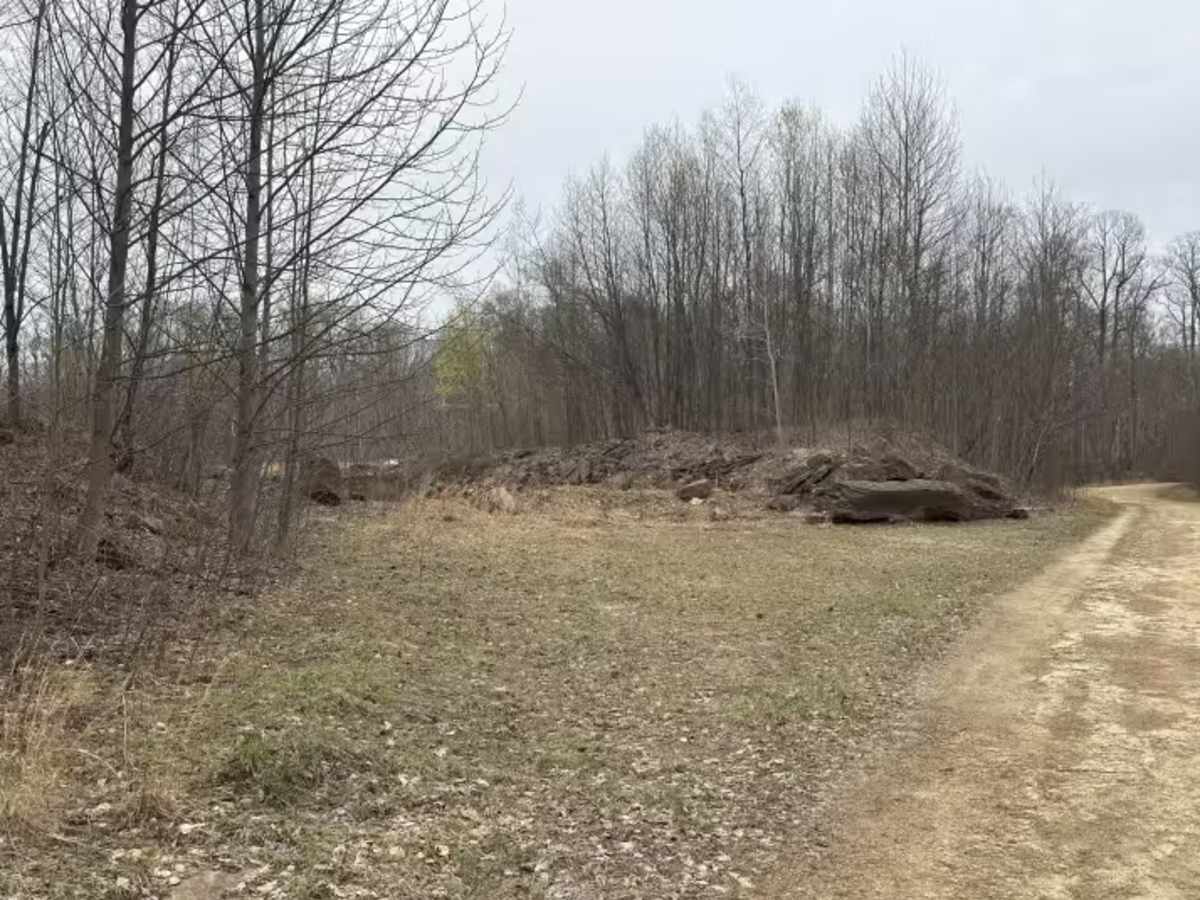 Briggs Run - FS 177 photo 3