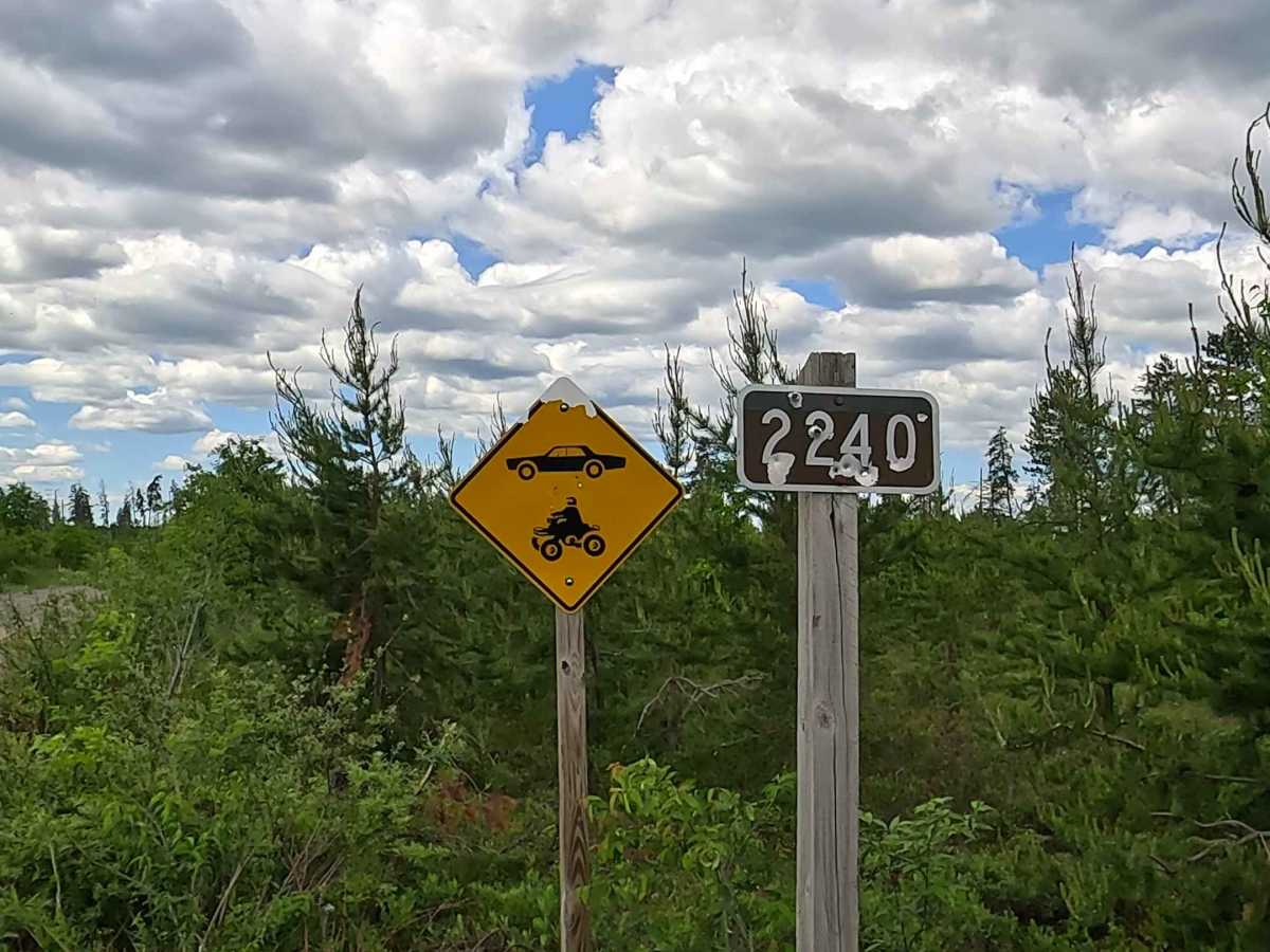 FS 2240 trail photo
