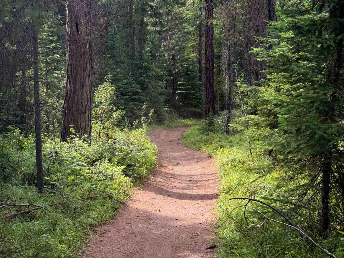 Sherry Spur Ditch Trail   photo 3