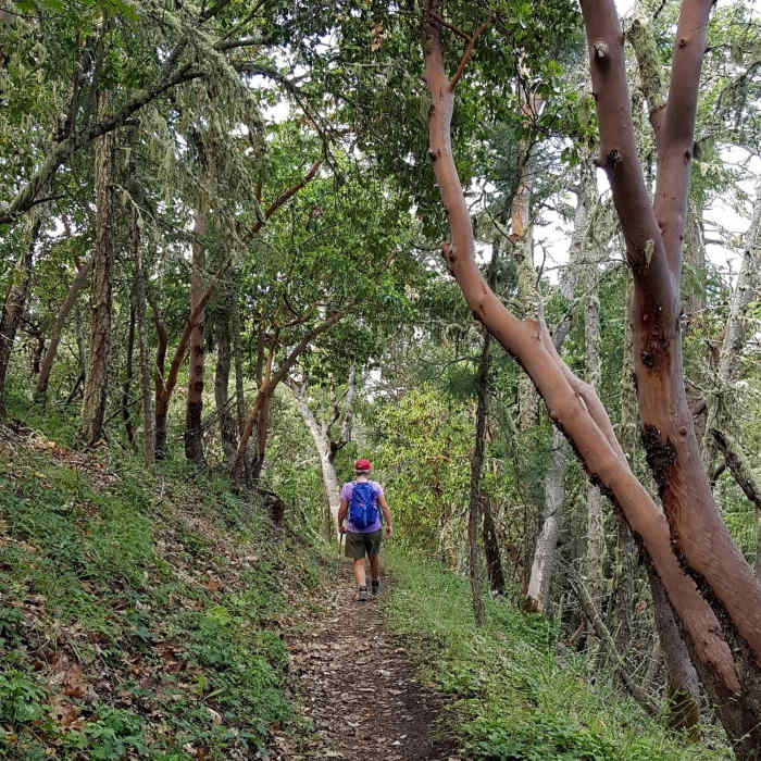 Near Equestrian Loop Trail
