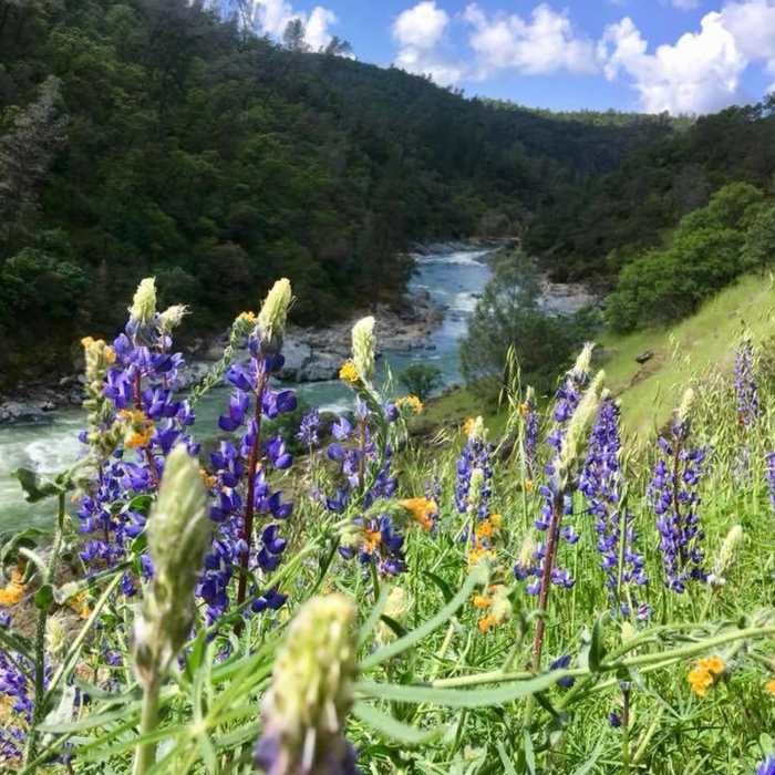 Near Buttermilk Bend Trail