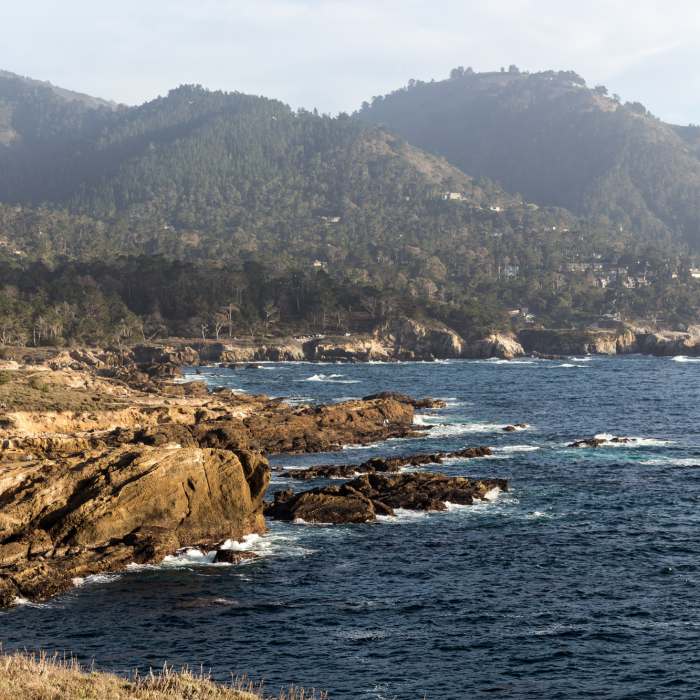 Near Sea Lion Point Trail