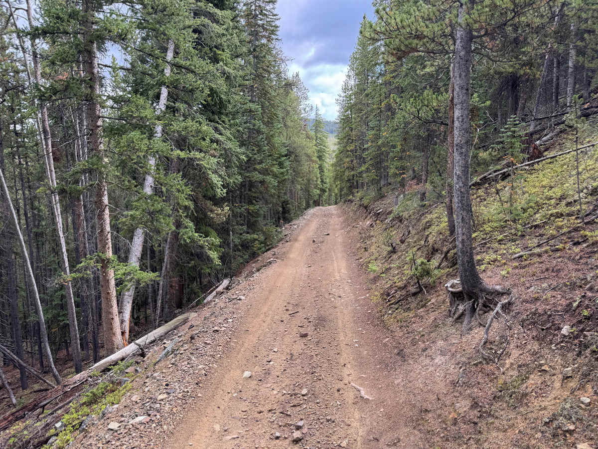 Draw Road photo 2