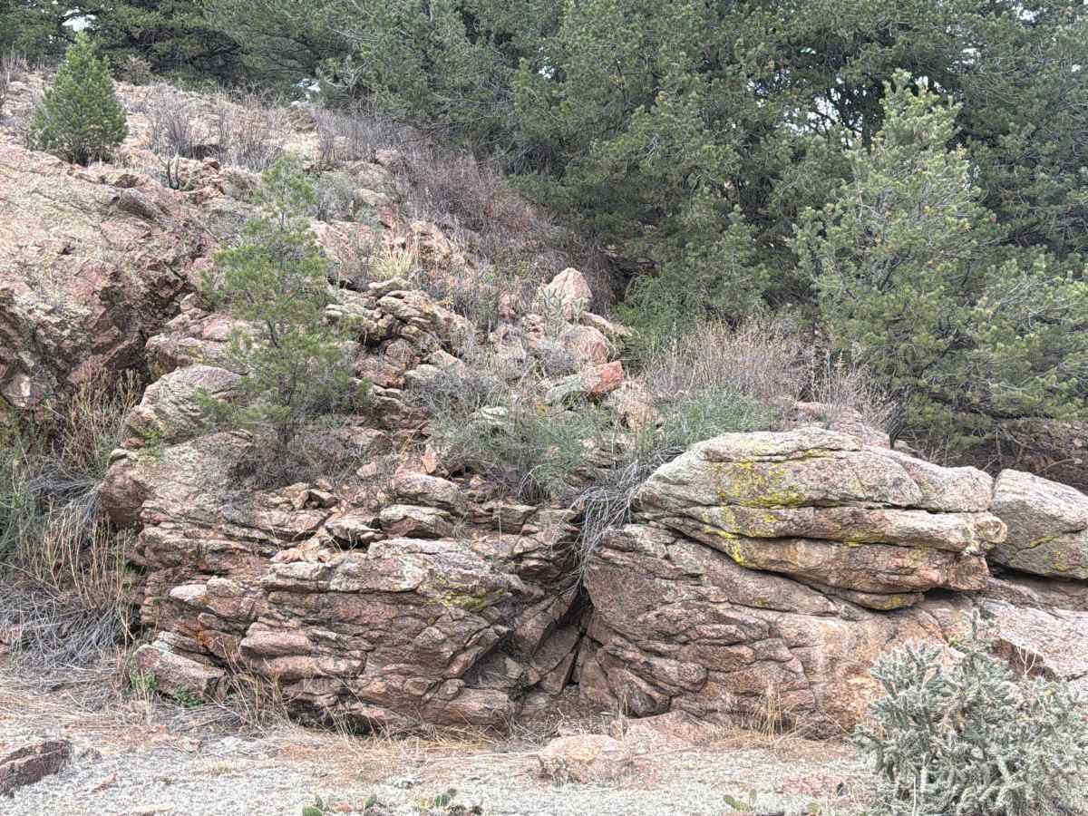 BLM 6220A photo 3