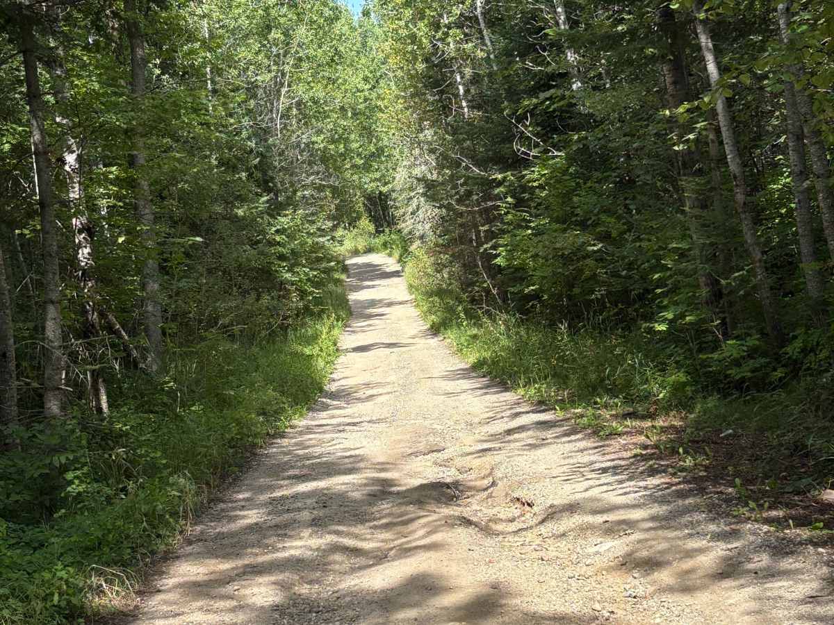 South Tulaby Trail photo 4