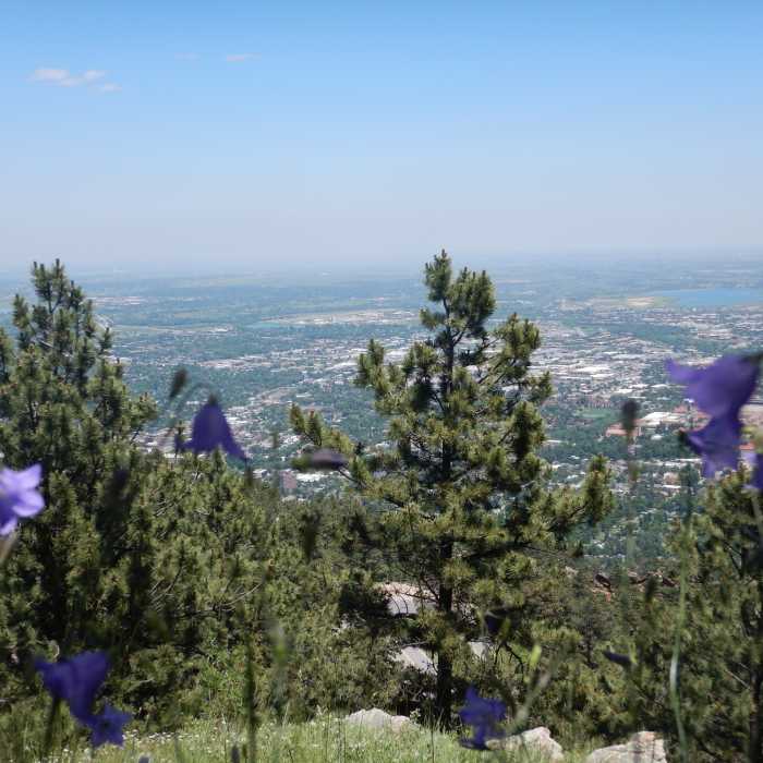 Near Flagstaff Trail