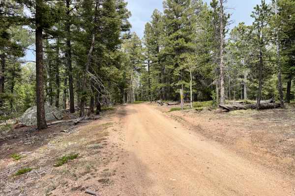 County Line Rd (FS324B)