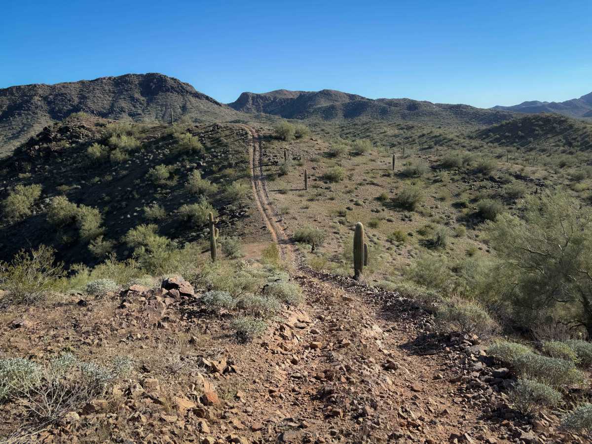 Rollercoaster Ridge  trail photo
