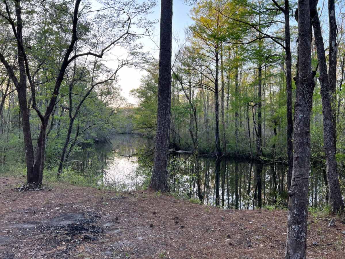 Mill Branch photo 5