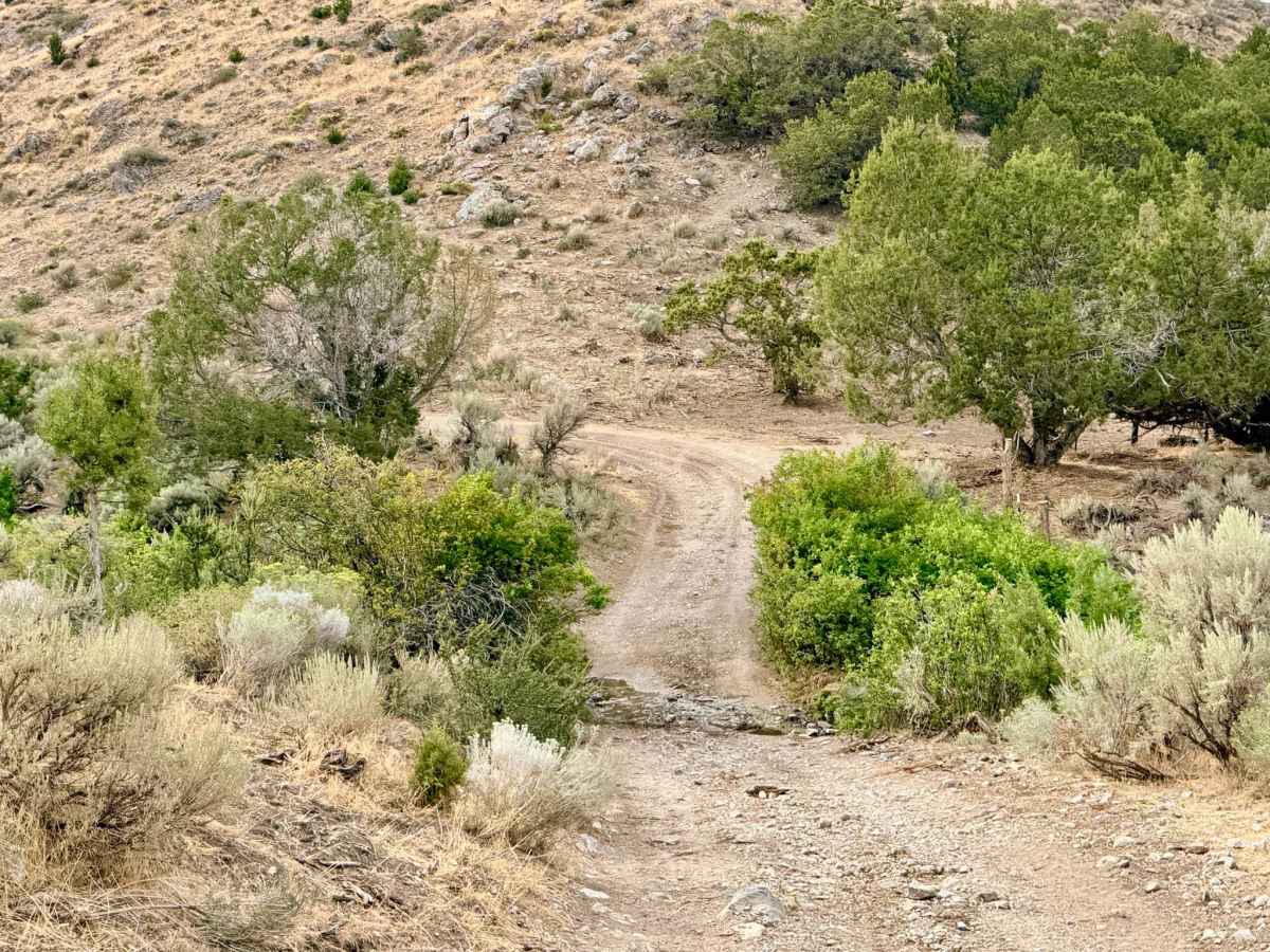  Road Canyon - FS 57111 photo 4