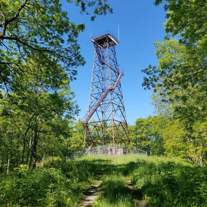 Fire tower top of the access road Near Holston Mountain 20 Mile