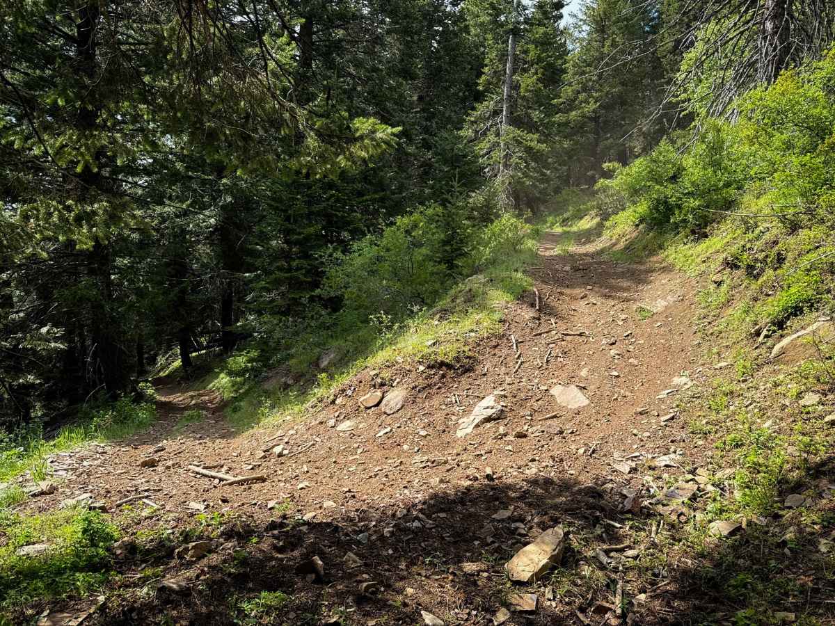 Upside - Trail 490  photo 2